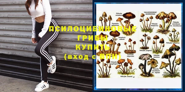 мяу мяу кристалл Вяземский