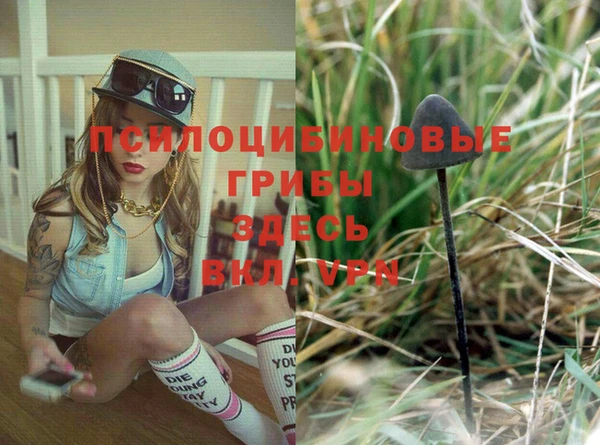 первитин Вязьма